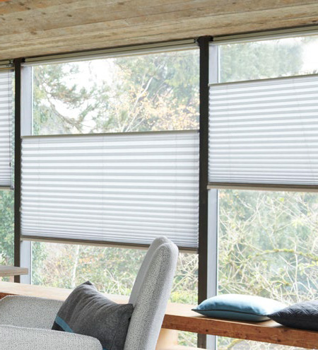 Insektenschutz Aktion